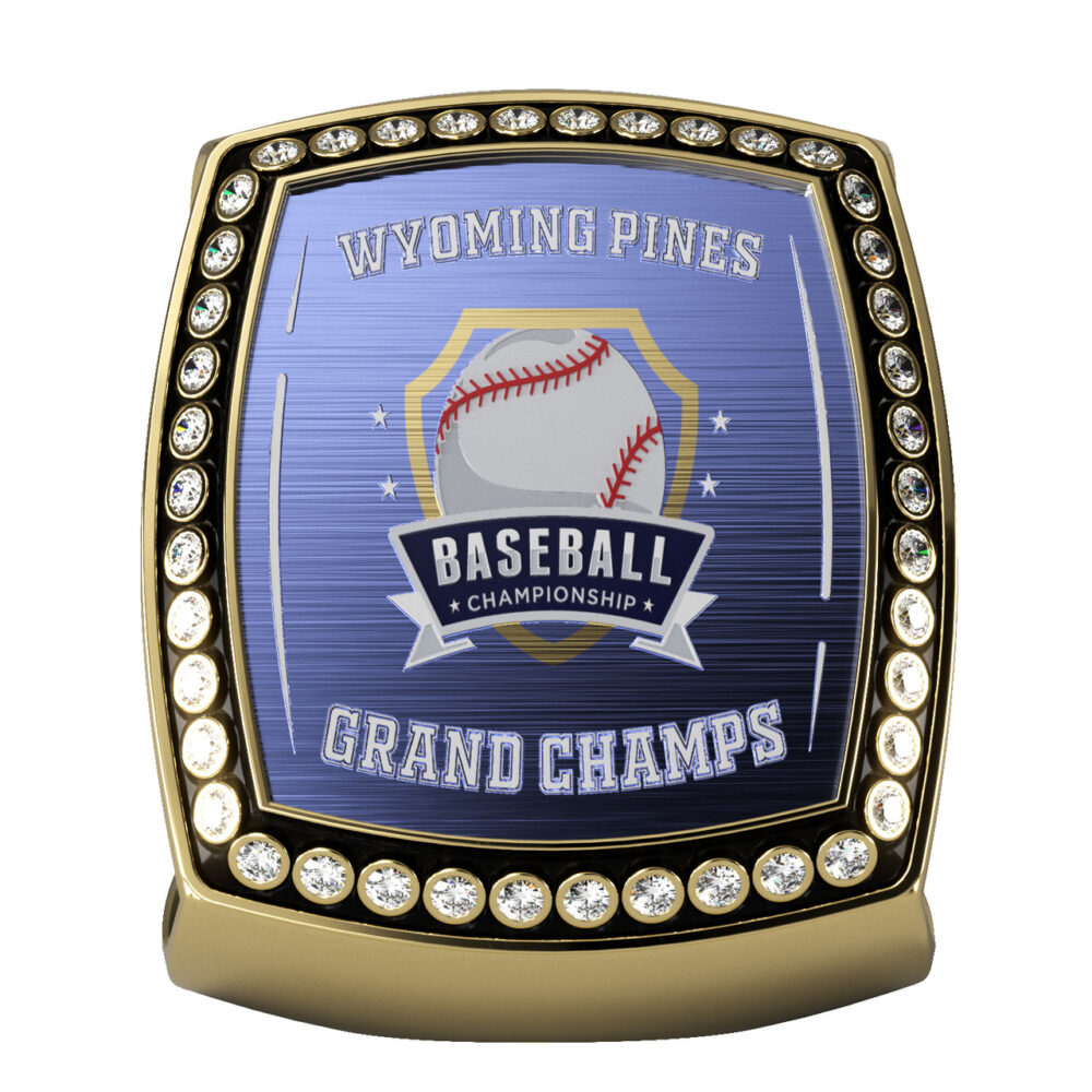 Express Texture Tone® Epic Ring w/ Side Inserts