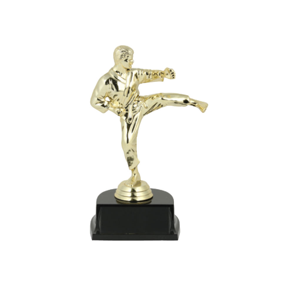 Karate Trophies As Low As $5.20