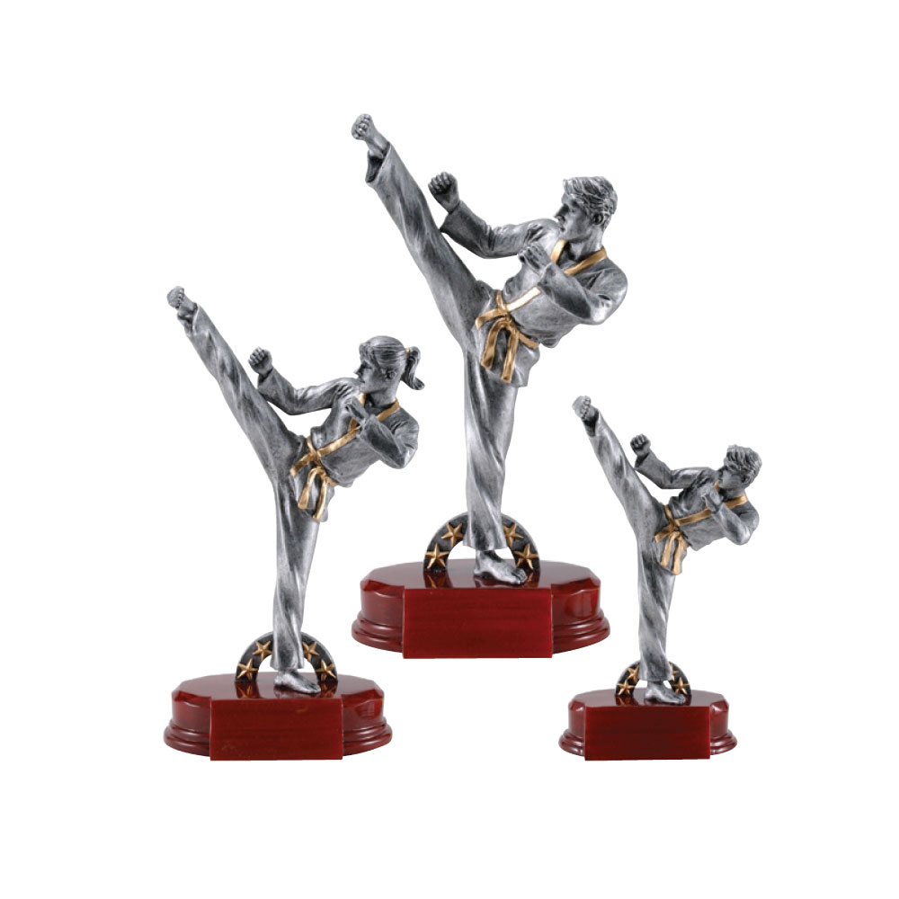 RFC Karate As Low As $10.80