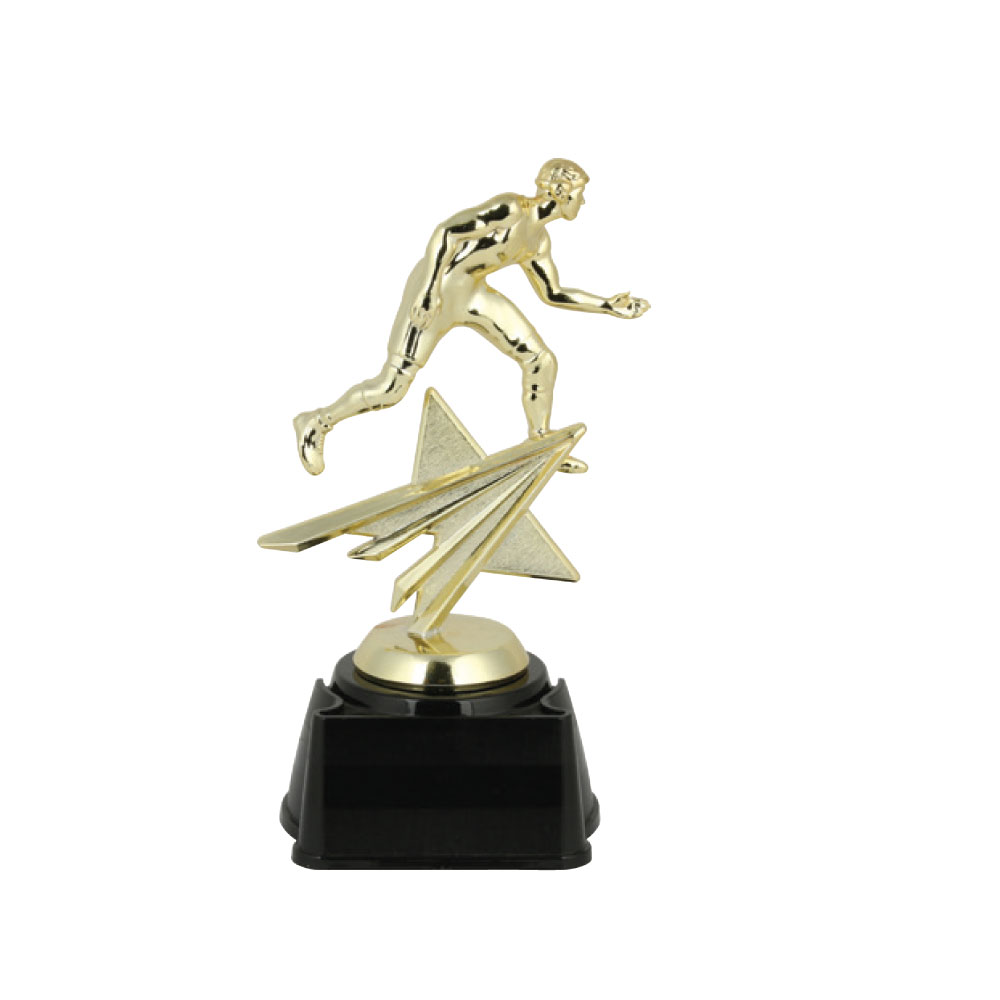 Star Trophy As Low As $5.36