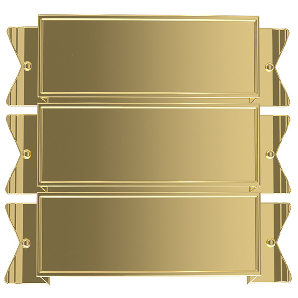 Perpetual Championship Belt Side Perpetual Plates
